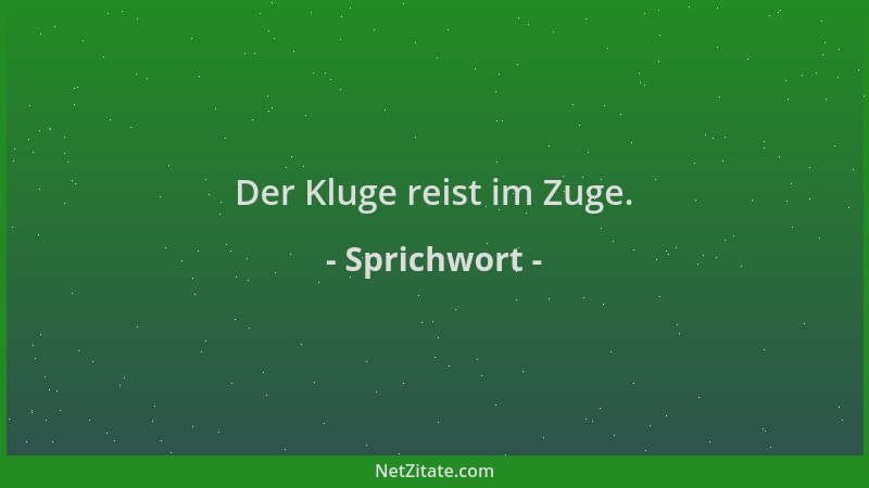 Sprichwort - Der Kluge reist im Zuge....