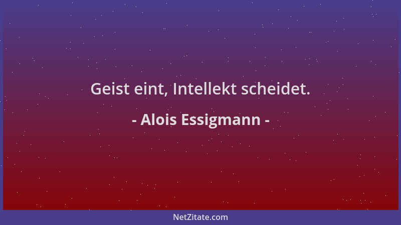 Alois Essigmann - Geist eint, Intellekt scheidet....