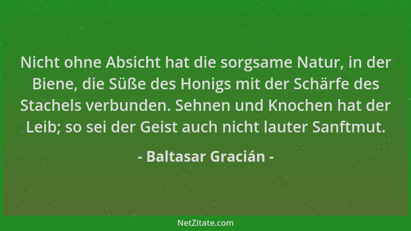 Baltasar Gracián - Nicht ohne Absicht hat die sorgsame Natur, in der Biene, die Süße des Honigs mit der Schärfe des Stachel...