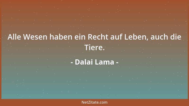 Dalai Lama - Alle Wesen haben ein Recht auf Leben, auch die Tiere....