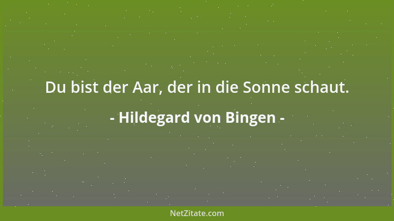 Hildegard von Bingen - Du bist der Aar, der in die Sonne schaut....
