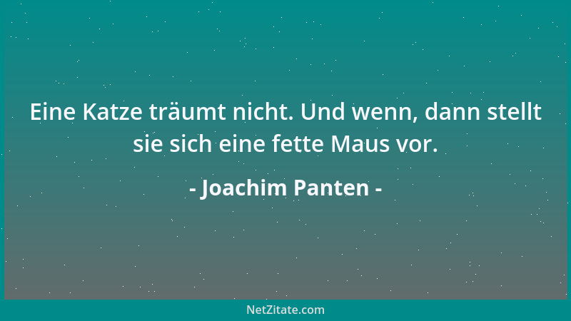 Joachim Panten - Eine Katze träumt nicht. Und wenn, dann stellt sie sich eine fette Maus vor....