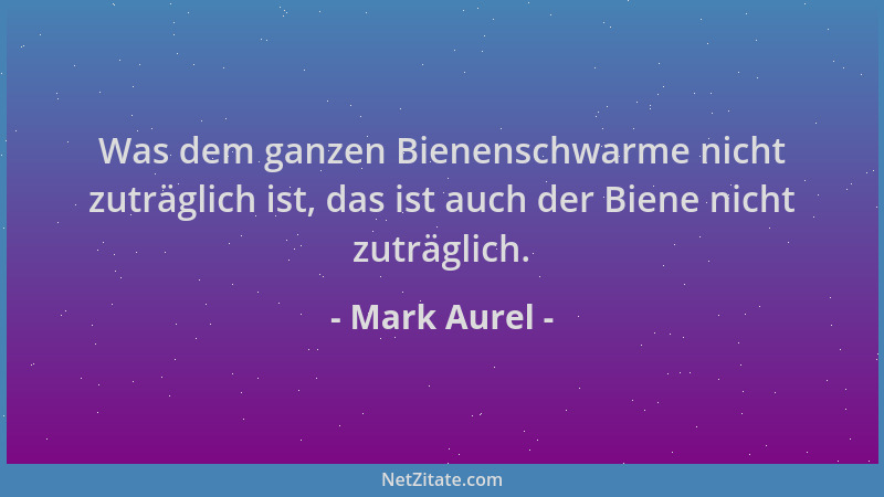 Mark Aurel - Was dem ganzen Bienenschwarme nicht zuträglich ist, das ist auch der Biene nicht zuträglich....