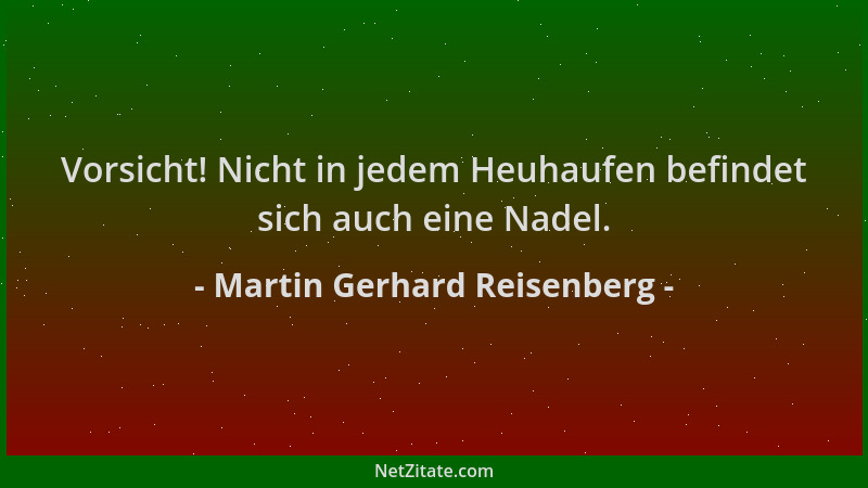 Martin Gerhard Reisenberg - Vorsicht! Nicht in jedem Heuhaufen befindet sich auch eine Nadel....