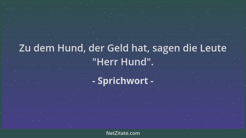 Sprichwort - Zu dem Hund, der Geld hat, sagen die Leute  "Herr Hund "....