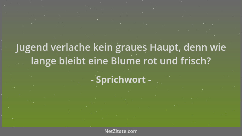 Sprichwort - Jugend verlache kein graues Haupt, denn wie lange bleibt eine Blume rot und frisch?...