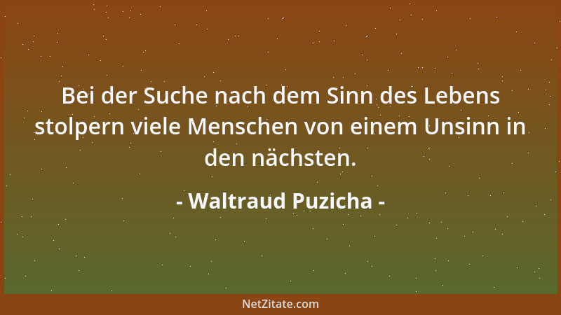 Waltraud Puzicha - Bei der Suche nach dem Sinn des Lebens stolpern viele Menschen von einem Unsinn in den nächsten....