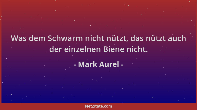 Mark Aurel - Was dem Schwarm nicht nützt, das nützt auch der einzelnen Biene nicht....