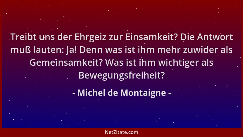 Michel de Montaigne - Treibt uns der Ehrgeiz zur Einsamkeit? Die Antwort muß lauten: Ja! Denn was ist ihm mehr zuwider als...