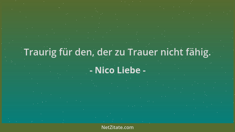 Nico Liebe - Traurig für den, der zu Trauer nicht fähig....