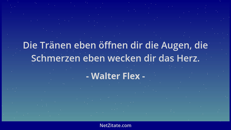 Walter Flex - Die Tränen eben öffnen dir die Augen, die Schmerzen eben wecken dir das Herz....