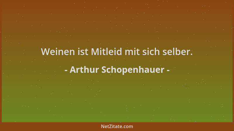 Arthur Schopenhauer - Weinen ist Mitleid mit sich selber....