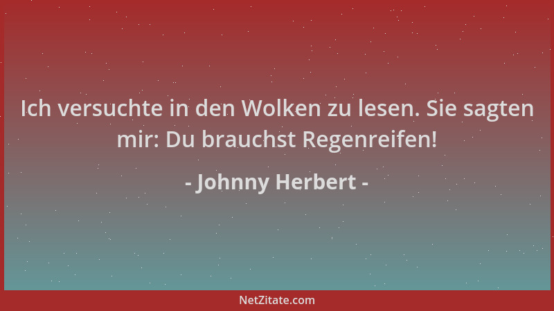 Johnny Herbert - Ich versuchte in den Wolken zu lesen. Sie sagten mir: Du brauchst Regenreifen!...