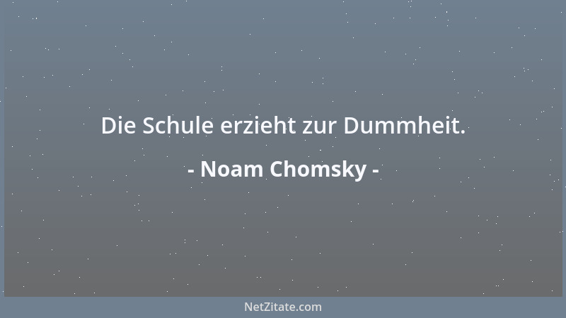 Noam Chomsky - Die Schule erzieht zur Dummheit....