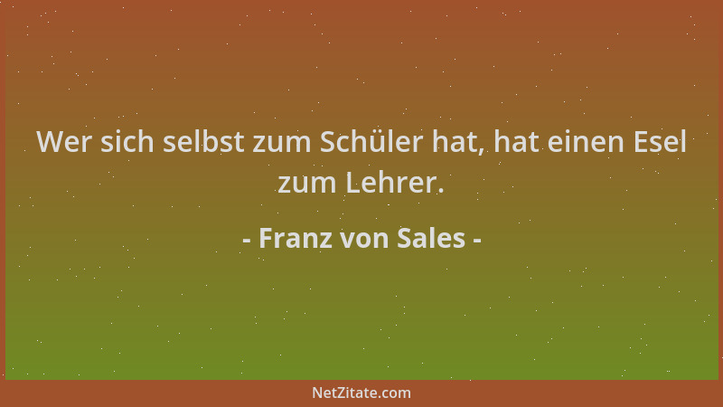 Franz von Sales - Wer sich selbst zum Schüler hat, hat einen Esel zum Lehrer....