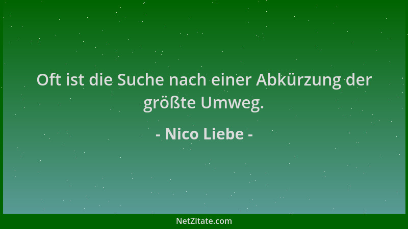 Nico Liebe - Oft ist die Suche nach einer Abkürzung der größte Umweg....