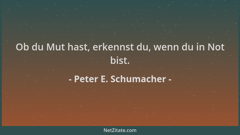 Peter E. Schumacher - Ob du Mut hast, erkennst du, wenn du in Not bist....