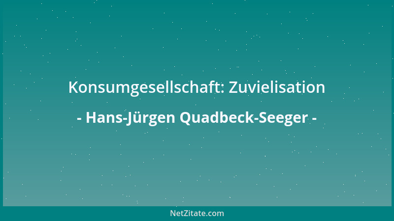 Hans-Jürgen Quadbeck-Seeger - Konsumgesellschaft: Zuvielisation...