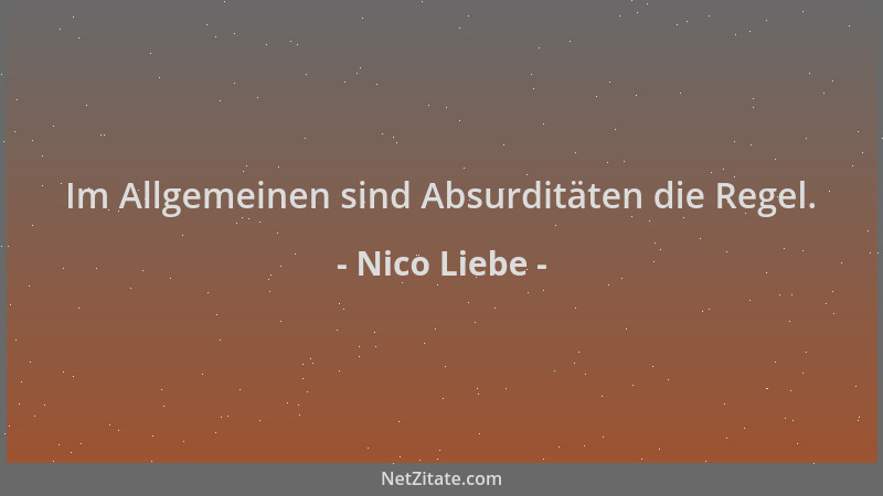 Nico Liebe - Im Allgemeinen sind Absurditäten die Regel....