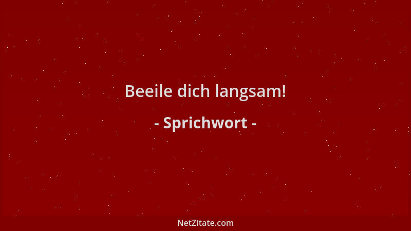 Sprichwort - Beeile dich langsam!...