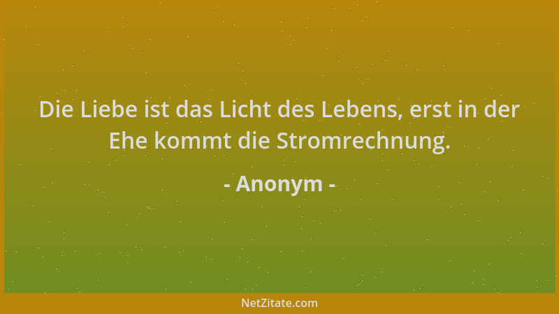 Anonym - Die Liebe ist das Licht des Lebens, erst in der Ehe kommt die Stromrechnung....