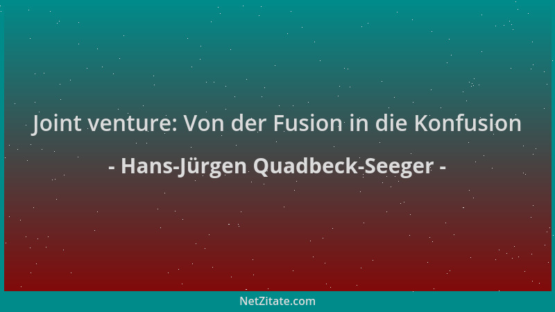 Hans-Jürgen Quadbeck-Seeger - Joint venture: Von der Fusion in die Konfusion...