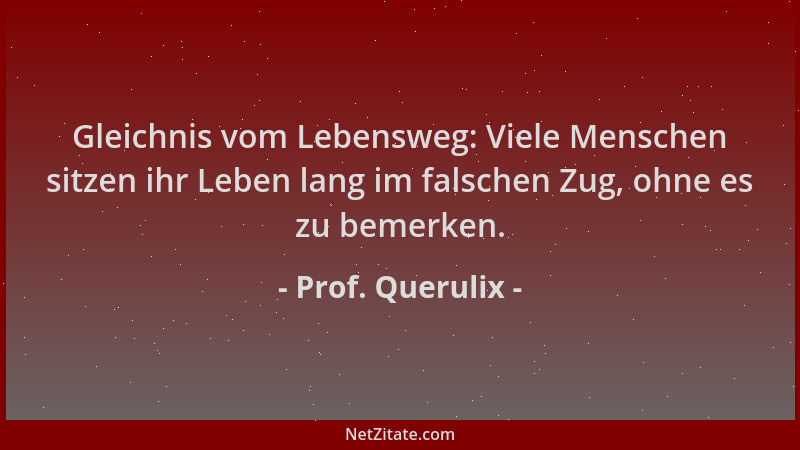 Prof. Querulix - Gleichnis vom Lebensweg: Viele Menschen sitzen ihr Leben lang im falschen Zug, ohne es zu bemerken....