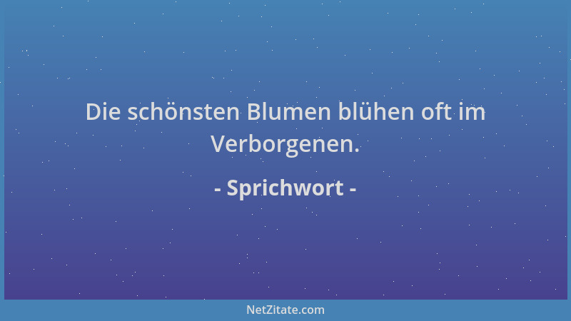 Sprichwort - Die schönsten Blumen blühen oft im Verborgenen....