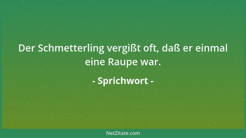 Sprichwort - Nimm dich vor den Zähnen eines tollen Hundes und den Hufen eines wilden Pferdes in acht....