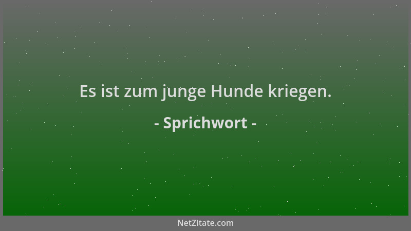 Sprichwort - Es ist zum junge Hunde kriegen....