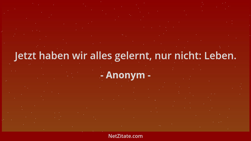 Anonym - Jetzt haben wir alles gelernt, nur nicht: Leben....