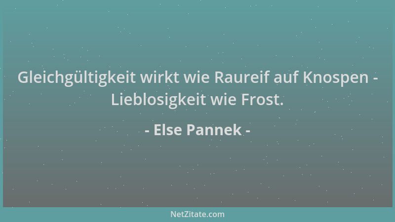 Else Pannek - Gleichgültigkeit wirkt wie Raureif auf Knospen - Lieblosigkeit wie Frost....