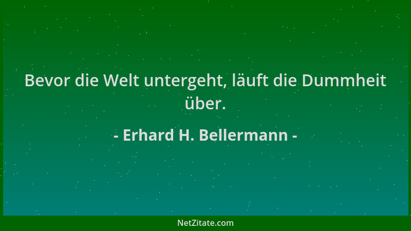 Erhard H. Bellermann - Bevor die Welt untergeht, läuft die Dummheit über....