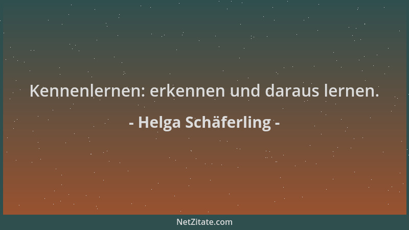 Helga Schäferling - Kennenlernen: erkennen und daraus lernen....