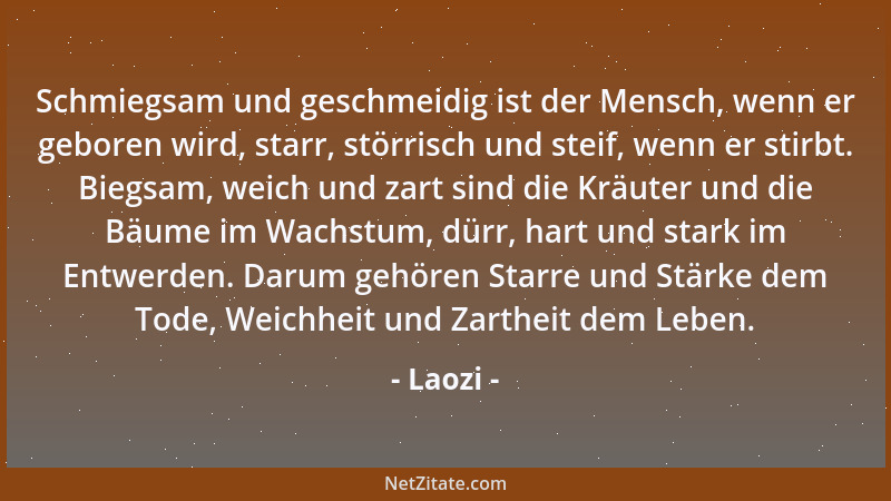 Laozi - Schmiegsam und geschmeidig ist der Mensch, wenn er geboren wird, starr, störrisch und steif, wenn er stirbt. Biegsa...