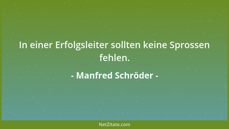 Manfred Schröder - In einer Erfolgsleiter sollten keine Sprossen fehlen....