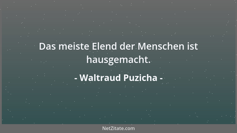 Waltraud Puzicha - Das meiste Elend der Menschen ist hausgemacht....