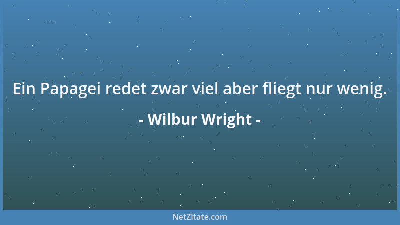 Wilbur Wright - Ein Papagei redet zwar viel aber fliegt nur wenig....