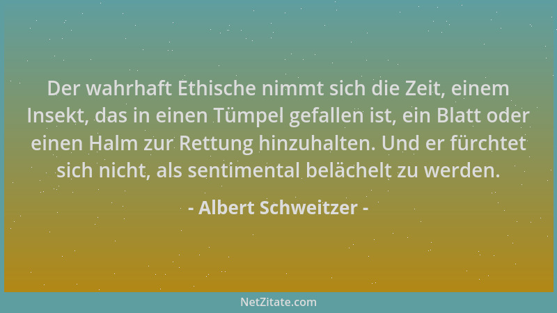 Albert Schweitzer - Der wahrhaft Ethische nimmt sich die Zeit, einem Insekt, das in einen Tümpel gefallen ist, ein Blatt od...