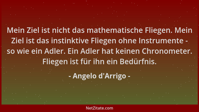 Angelo d'Arrigo - Mein Ziel ist nicht das mathematische Fliegen. Mein Ziel ist das instinktive Fliegen ohne Instrumente...