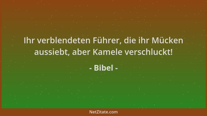 Bibel - Ihr verblendeten Führer, die ihr Mücken aussiebt, aber Kamele verschluckt!...