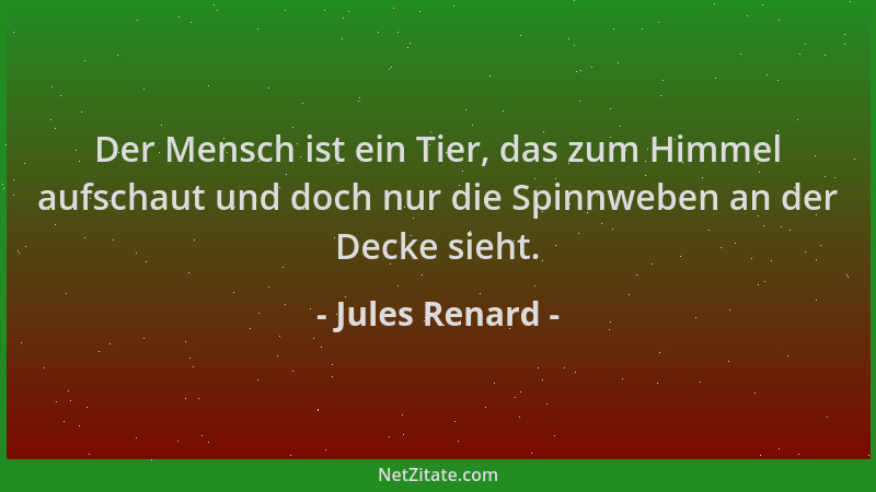 Jules Renard - Der Mensch ist ein Tier, das zum Himmel aufschaut und doch nur die Spinnweben an der Decke sieht....