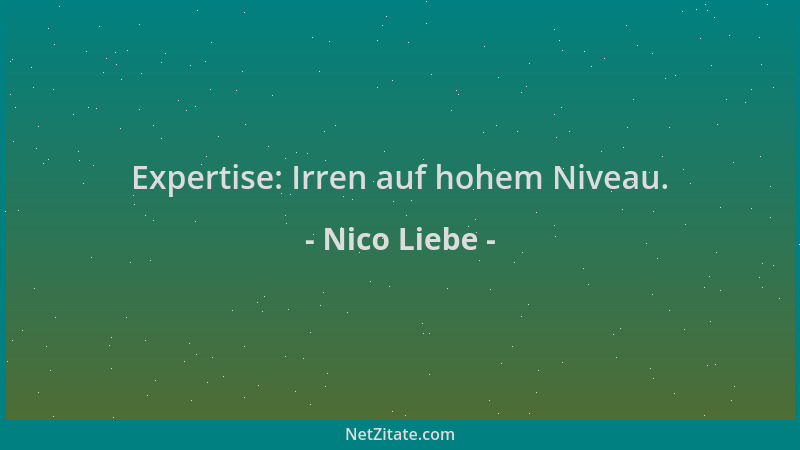 Nico Liebe - Expertise: Irren auf hohem Niveau....
