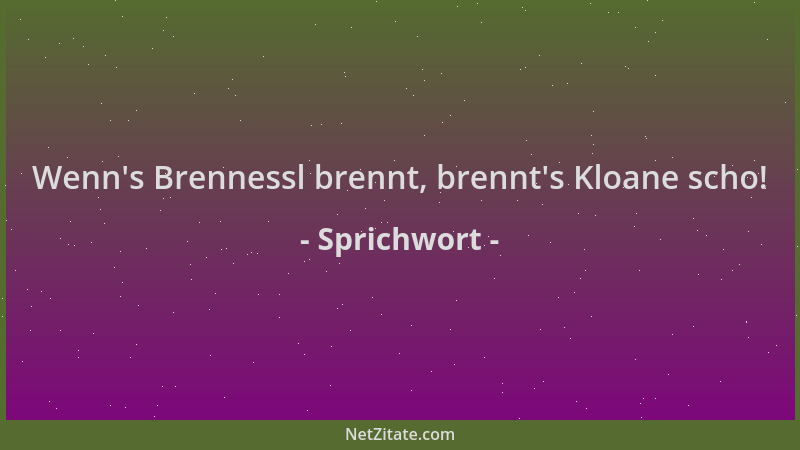 Sprichwort - Wenn 's Brennessl brennt, brennt 's Kloane scho!...