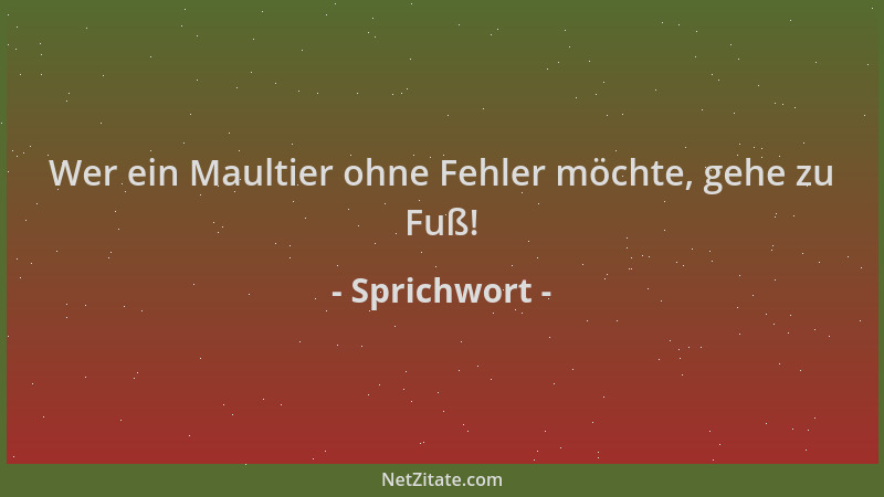 Sprichwort - Wer ein Maultier ohne Fehler möchte, gehe zu Fuß!...