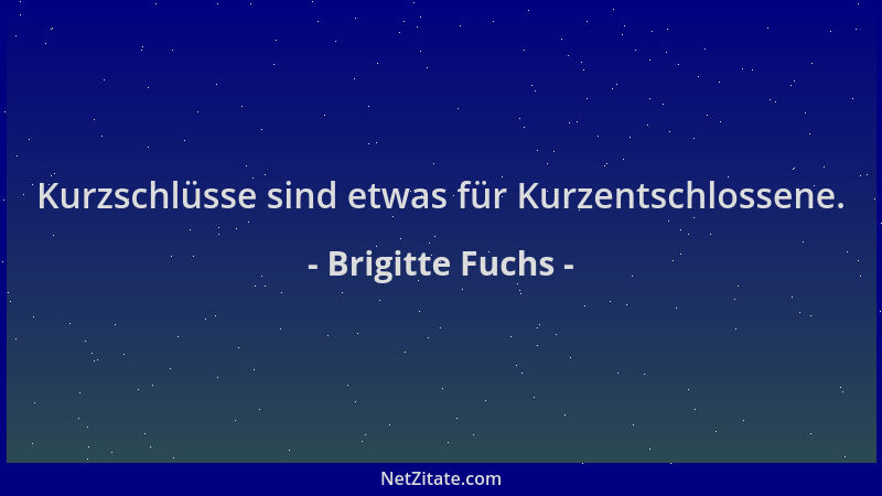 Brigitte Fuchs - Kurzschlüsse sind etwas für Kurzentschlossene....