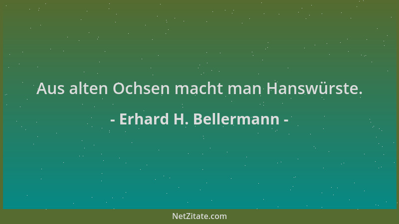 Erhard H. Bellermann - Aus alten Ochsen macht man Hanswürste....