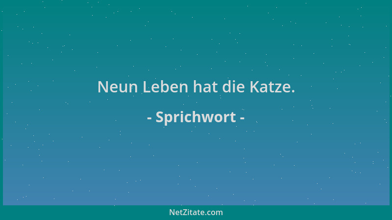 Sprichwort - Neun Leben hat die Katze....
