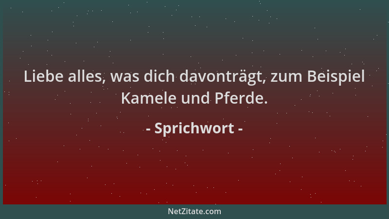 Sprichwort - Liebe alles, was dich davonträgt, zum Beispiel Kamele und Pferde....