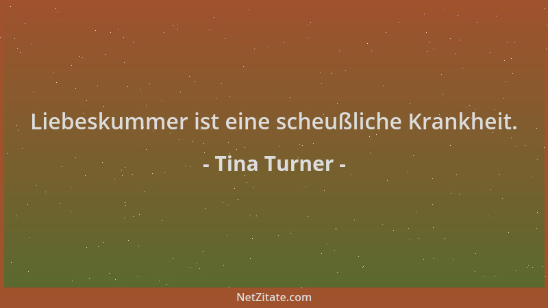 Tina Turner - Liebeskummer ist eine scheußliche Krankheit....